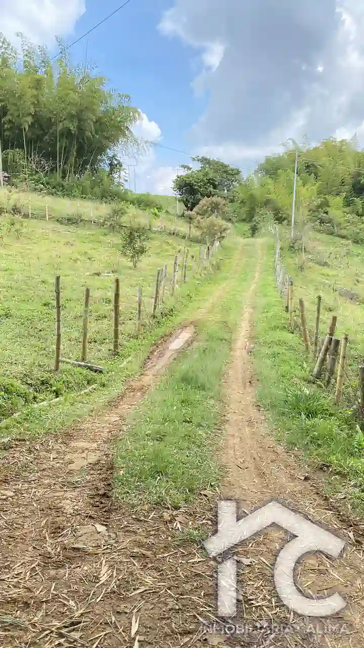 Lote Heidi 2 6040 metros